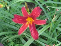 IMG_sämling fragezeichen_1024x768.webp