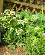 PUnbekannte_2.webp