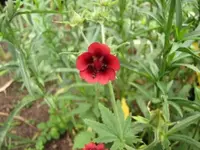 015.webp