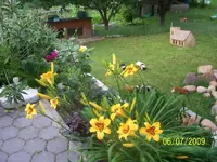 100_1938_2_1.webp