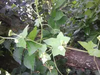 Foto0098.webp