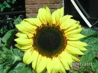 BILD1082.webp