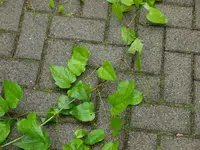 +20120711_154622+0006.webp