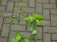 +20120711_154620+0005.webp