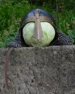 Kuller-Helm.webp