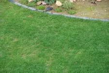 20120711_Garten_0005.webp