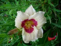 DSCI1477.webp