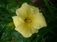DSCI1478.webp