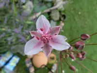 CIMG0756.webp