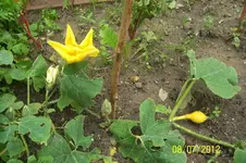 100_3358_29_1.webp
