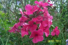 100_3345_16_1.webp