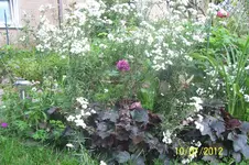 100_3370_41_1.webp