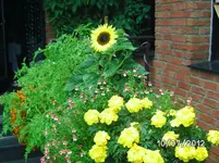 BILD1084.webp