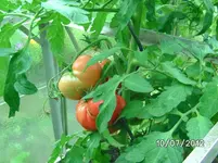 BILD1087.webp