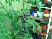 BILD1091.webp