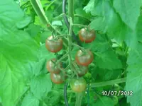 BILD1092.webp