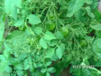 BILD1093.webp