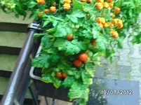 BILD1100.webp
