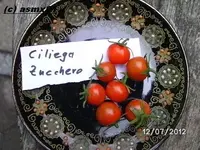 BILD0115.webp