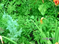 BILD1094.webp