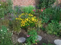 WP_000102.webp