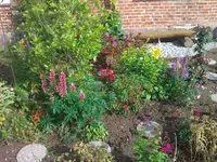 WP_000104.webp