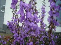 DSC05810.webp
