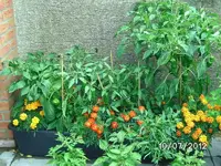 k-BILD1103.webp