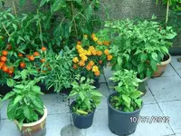 k-BILD1104.webp