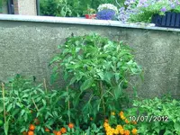 k-BILD1105.webp