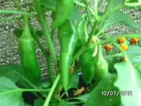 k-BILD1106.webp