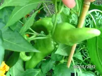 k-BILD1107.webp