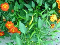 k-BILD1111.webp