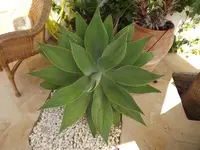 DSCF1170.webp