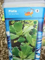 CIMG0758.webp