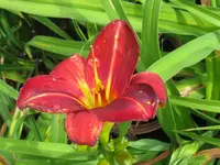 IMG_dewey roquemore_1024x768.webp