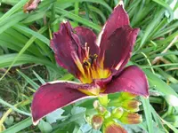 IMG_kohlenklau_1024x768.webp