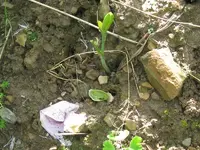 IMG_1719_800x600.webp