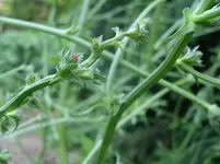 056.webp