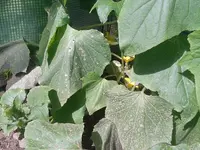 2012-07-09 13.06.15.webp
