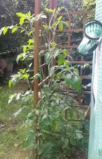 2012-07-12 10.01.51.webp