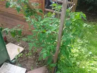 2012-07-12 10.01.15.webp