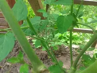 2012-07-12 10.01.30.webp