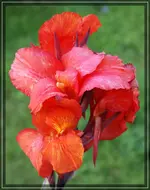 comp_DSC02410.webp