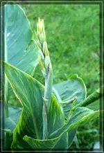 comp_DSC02426.webp