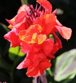 IMG_1376.webp