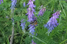 2012_0708Sommer0021.webp