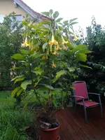 2012-07-13 06.50.24.webp