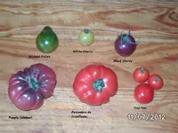 k-BILD1110.webp