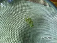k-BILD0926.webp